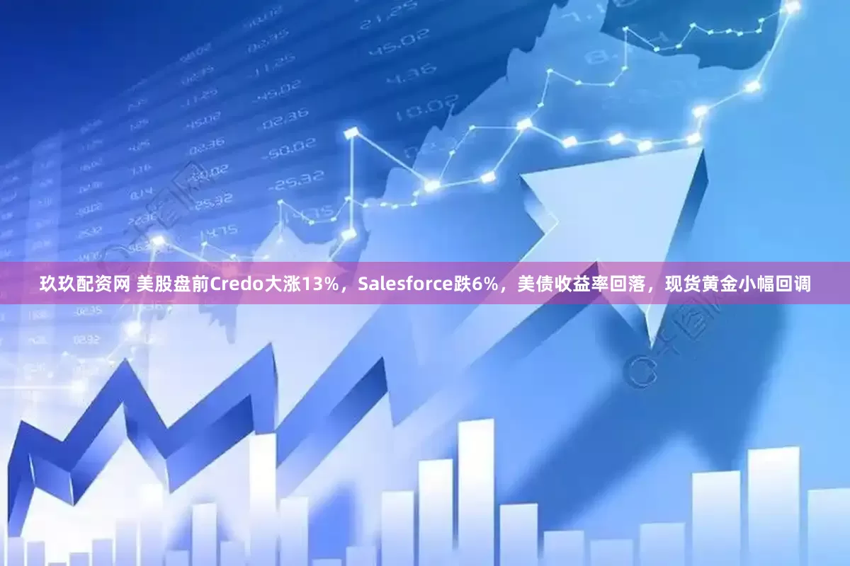 玖玖配资网 美股盘前Credo大涨13%，Salesforce跌6%，美债收益率回落，现货黄金小幅回调